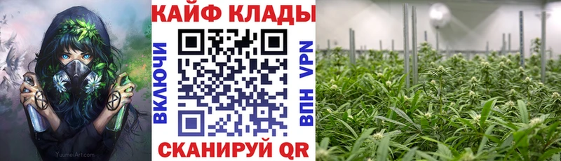 Как найти закладки Челябинск COCAIN МАРИХУАНА МЕФ МЕТАМФЕТАМИН ТГК Гашиш