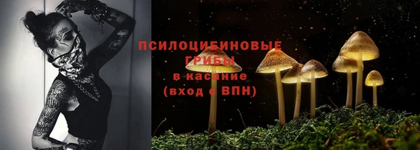apvp Михайловка