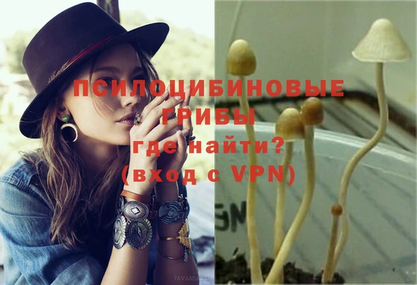 хмурый Магас